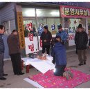 서정초교 이미지