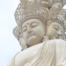 삼은사 티스토리