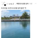 부신 상어 이미지