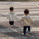 14개월 아기와의 외출 필수템! 넥스투 미아방지스트랩 솔직 후기(내돈내산)