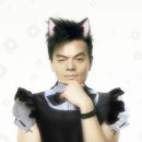 CQ4 모니터, 레이저 바이퍼 미니 마우스, COX CK01 TKL 기계식 텐키리스 적축, 브리츠 사운드바 BA-R9 후기