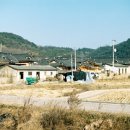 삼강경로당 이미지