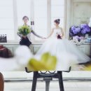성림웨딩홀 이미지