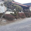 만평농원