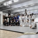 파라에스트라울산