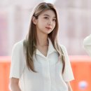 다미 이미지