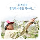 부흥사과농원