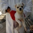 서창파출소 이미지