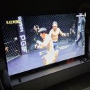 세승사 | (스포) 블랙컴뱃 16 엑소더스 스탠다드석 직관 후기