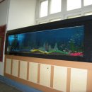 서울서초초등학교 이미지