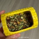 패러그린샵 명지점 | 동탄 햄스터 분양 용품샵 패러그린 동탄점 햄집사 방문 후기