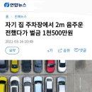 자기 집 주차장에서 2m 음주운전했다가 벌금 1천500만원 이미지