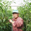 서대마을 이미지