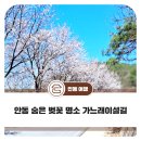 가느래이설길(임동면) 이미지