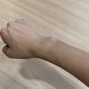 팜파스휴게소 | <속초> 서울부터 강원도 속초까지 1박2일 바이크 라이딩 후기 (왕복 400km를 무려 슈퍼커브로!?)