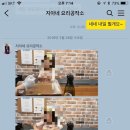 피자지아 이미지