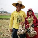 한누리꽃담 이미지