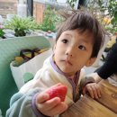 대겸농장 이미지