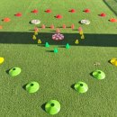 개와 집사의 시간 이미지