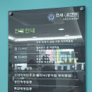 연세쿄앤원이비인후과의원 네이버블로그