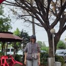 밤순식탁 이미지