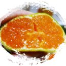 정숙농장 이미지