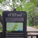 망우산 3보루 | [서울 등산 코스 추천] 아차산-용마산-망우산 종주 연계 산행 후기! 초보자도 갈 수 있는 능선길부터 숨...