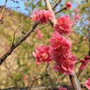 신답역(2) 이미지