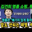 김건희 명품 쇼핑..특활비? 김은혜 해명, 개박살! &#34;호객행위 당했다&#34; 명품관 &#34;예기치 않게 들어왔다&#34; 이미지