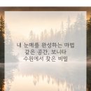 시간.공간?그 꿈의 이미지