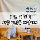댕지트 | [댕지트] 화성 기안동 _ 애견운동장 _ 애견카페