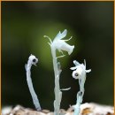 수청초등학교 이미지