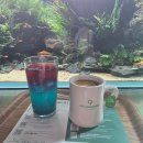 월드아쿠아 | 롯데월드 아쿠아가든 카페 후기