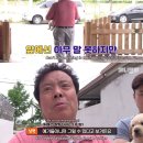 최애 밭을 부시는 인절미 6남매가 미워 죽겠다는 주인 아주머니.jpgif 이미지