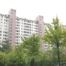 분당-326 이미지