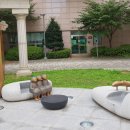 실버클럽경로당 이미지