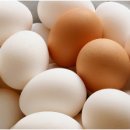 달걀이 건강(健康)에 좋은 이유(理由) 6가지 이미지