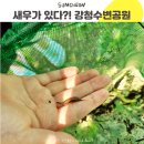 마상공원(관리사 옆) | 아이들과 민물새우를 잡을 수 있는 강청수변공원 놀이터