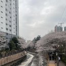 백산초등학교 | 부산만덕맛집 맛나감자탕 만덕점 가족외식추천 목뼈해장국 주차지원 맥반석불뼈구이 놀이방