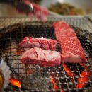 라오니아 이미지