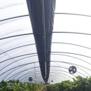 늘해랑농장 이미지