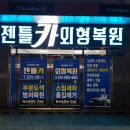 젠틀카외형복원