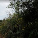 표선리-30 이미지