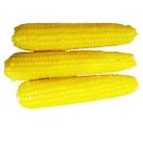 조은상사 이미지