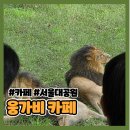 우리옷가비 앞 | 사자 앞에서 커피 마실 수 있는 카페 | 서울대공원 웅가비 카페 내돈내산 후기