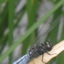 불광역3번출구 (서울병원) 이미지