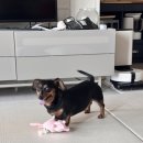 바로나치과기공소 이미지