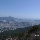 개림초등학교 이미지