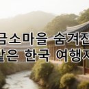 금운정 네이버블로그