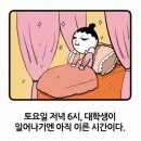수채화(주간) 이미지